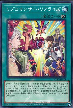 WPP3-JP024